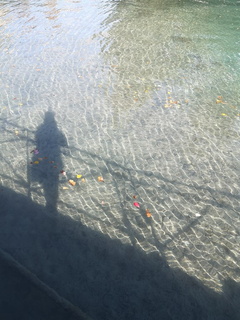 Promenades en France