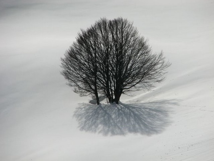 Noir et Blanc - essais ...